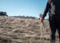 Un secteur agricole « plus fragilisé que jamais »