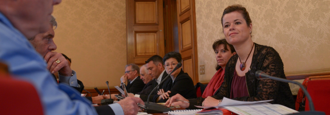 Conférence ANI du 2 juin 2016